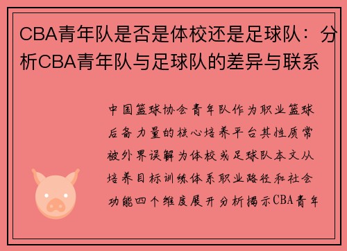 CBA青年队是否是体校还是足球队：分析CBA青年队与足球队的差异与联系