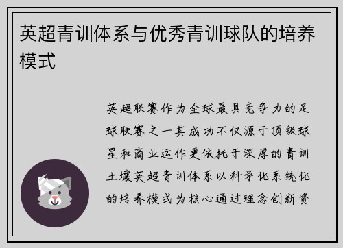 英超青训体系与优秀青训球队的培养模式